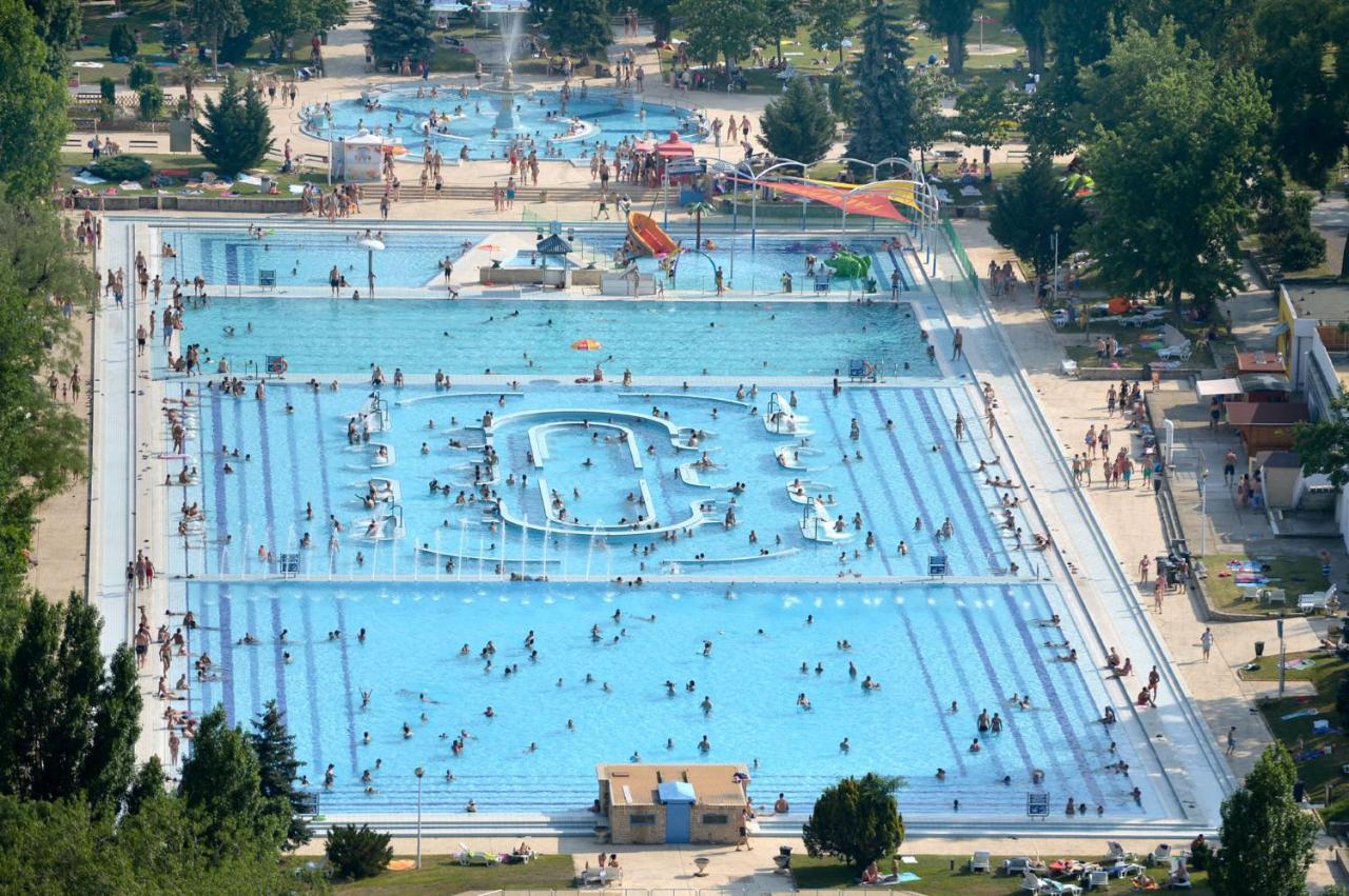 Island Hostel Budapest (Adults Only) Bagian luar foto Aerial view of the swimming pool