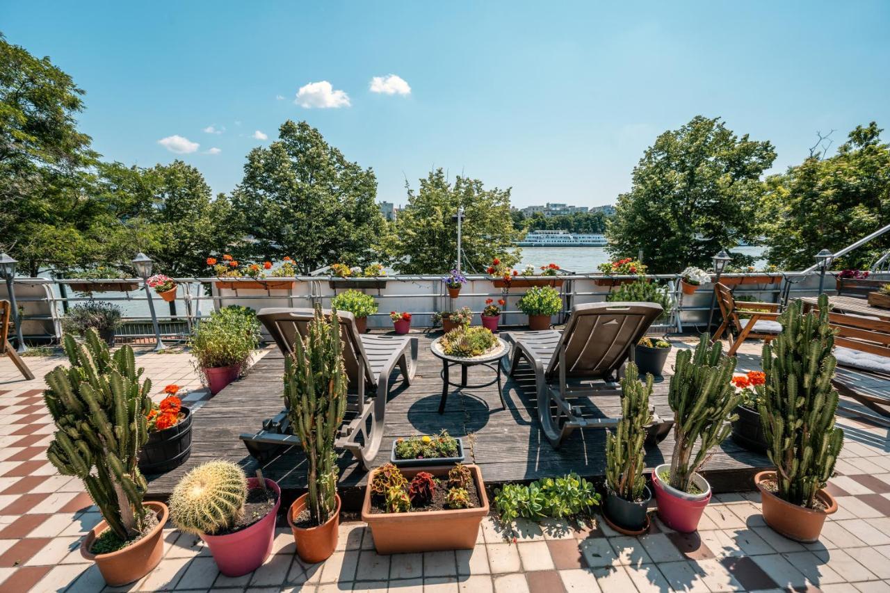 Island Hostel Budapest (Adults Only) Bagian luar foto Rooftop garden